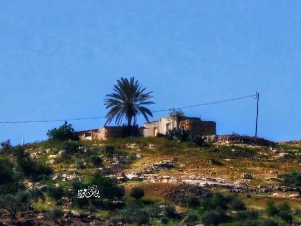 صور حديثة من منطقة وادي شوباش بين قريتي المغير ورابا، بعدسة: أ. يوسف عودة