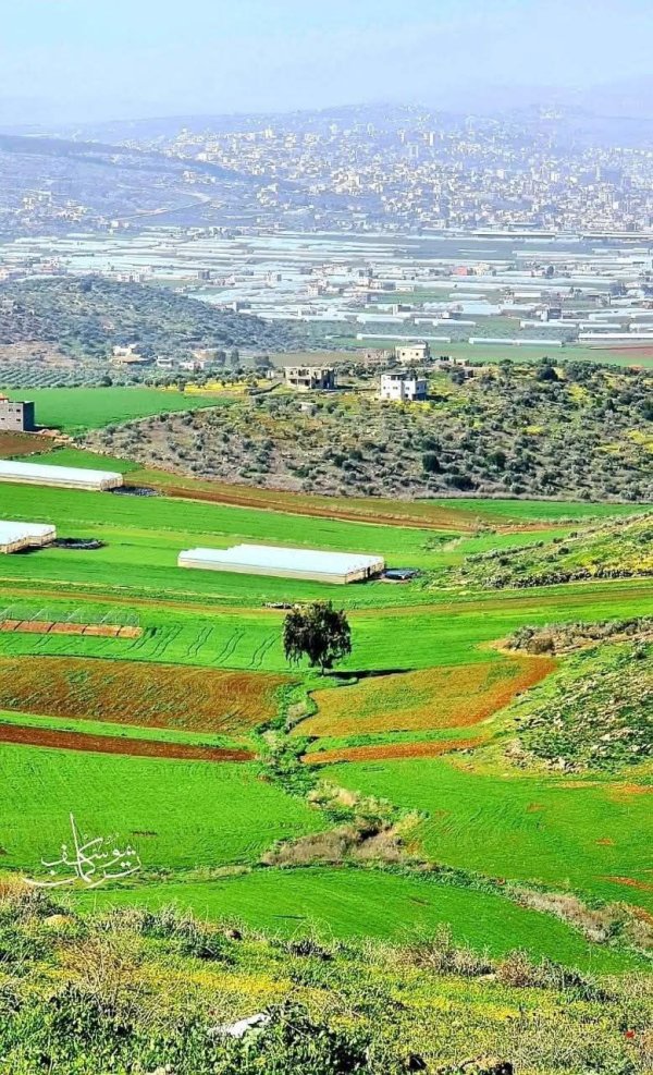 جبال قرية جلبون، بعدسة: أ. يوسف تركمان