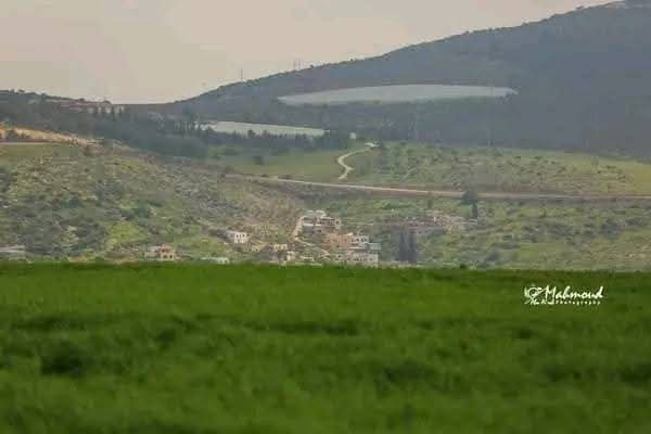 الربيع من قرية جلبون في محافظة جنين