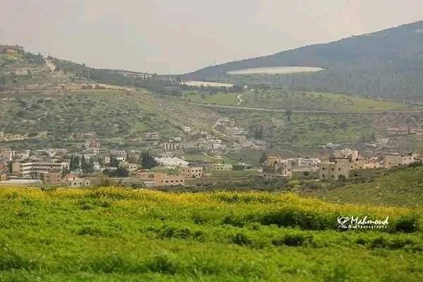الربيع من قرية جلبون في محافظة جنين