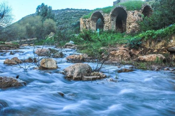 | موسوعة القرى الفلسطينية  | موسوعة القرى الفلسطينية
