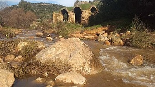 | موسوعة القرى الفلسطينية  | موسوعة القرى الفلسطينية