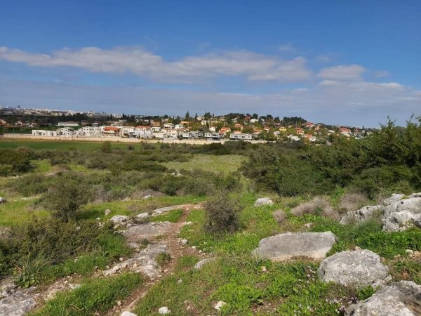 | موسوعة القرى الفلسطينية  | موسوعة القرى الفلسطينية