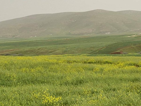 | موسوعة القرى الفلسطينية  | موسوعة القرى الفلسطينية