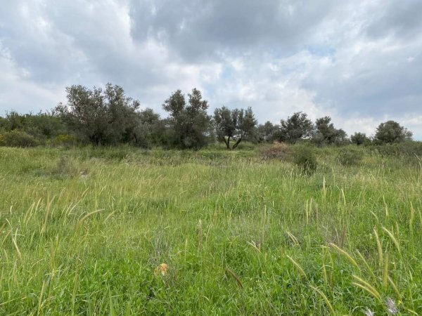 | موسوعة القرى الفلسطينية  | موسوعة القرى الفلسطينية