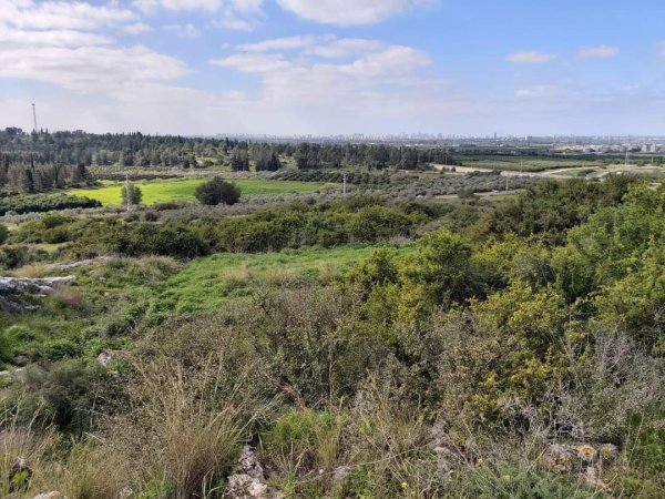 | موسوعة القرى الفلسطينية  | موسوعة القرى الفلسطينية