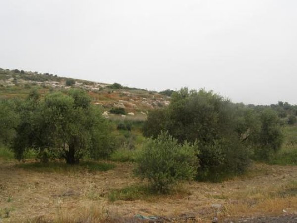 صور من قرية البياضة شمال غربي مدينة جنين وجنوب شرقي مدينة حيفا