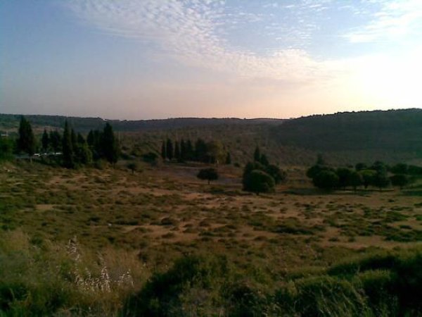 صور من قرية البياضة شمال غربي مدينة جنين وجنوب شرقي مدينة حيفا