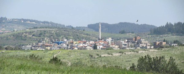 إطلالة عامة لقرية معاوية نقلاً عن موقع فلسطين في الذاكرة