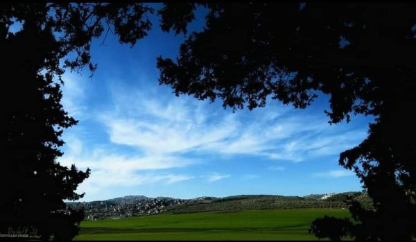 صور من قرية زلفة شمال غربي مدينة جنين وجنوب شرقي مدينة حيفا