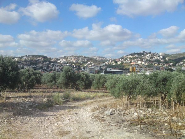 صور من قرية زلفة شمال غربي مدينة جنين وجنوب شرقي مدينة حيفا