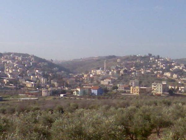 صور من قرية زلفة شمال غربي مدينة جنين وجنوب شرقي مدينة حيفا