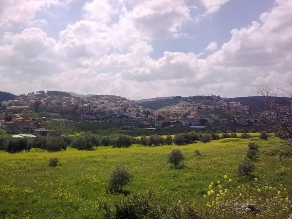 صور من قرية زلفة شمال غربي مدينة جنين وجنوب شرقي مدينة حيفا
