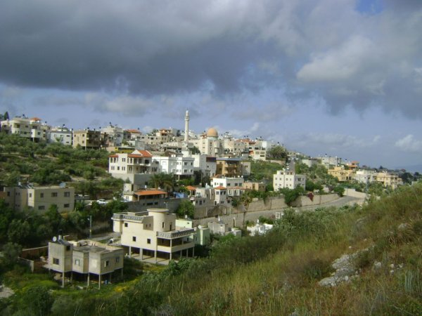 صور من قرية مشيرفة شمال غربي مدينة جنين وجنوب شرقي مدينة حيفا