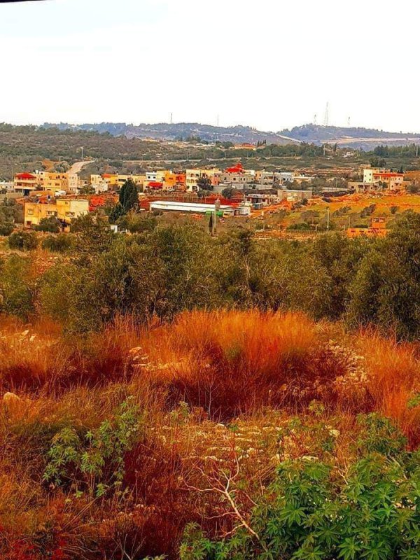 | موسوعة القرى الفلسطينية  | موسوعة القرى الفلسطينية