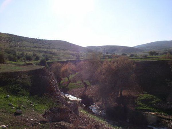 | موسوعة القرى الفلسطينية  | موسوعة القرى الفلسطينية
