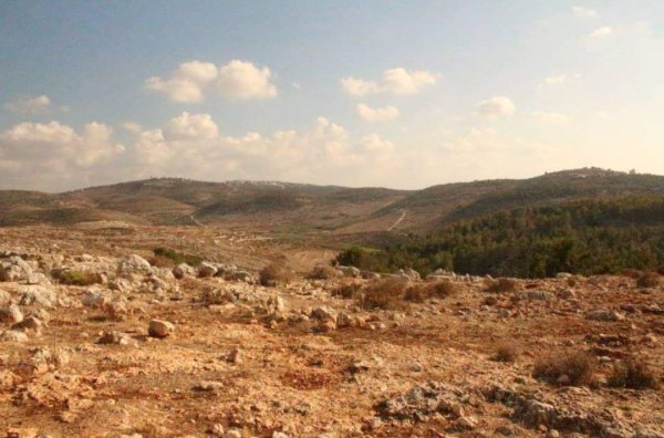 | موسوعة القرى الفلسطينية  | موسوعة القرى الفلسطينية