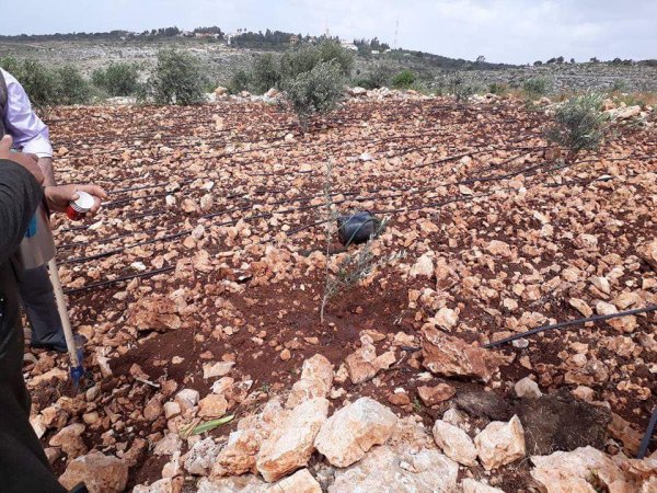 | موسوعة القرى الفلسطينية  | موسوعة القرى الفلسطينية
