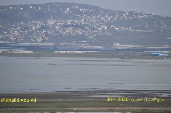 الأراضي المشرفة على قرية جربا جنوبي مدينة جنين