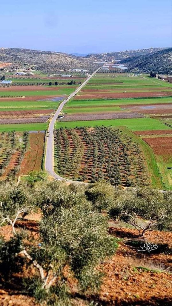 الأراضي المشرفة على قرية جربا جنوبي مدينة جنين