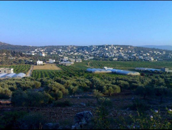 صور من قرية مسلية جنوب جنين