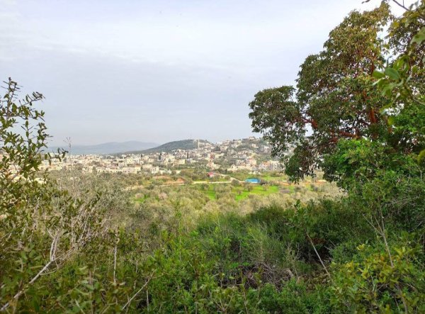 صور من قرية مسلية جنوب جنين