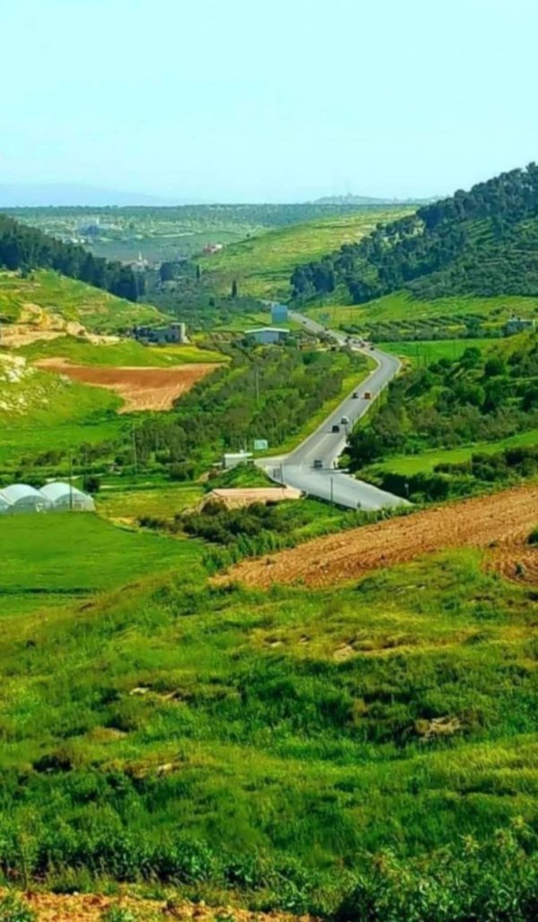 صور من وادي دعوق بعدسة عادل الحويطي