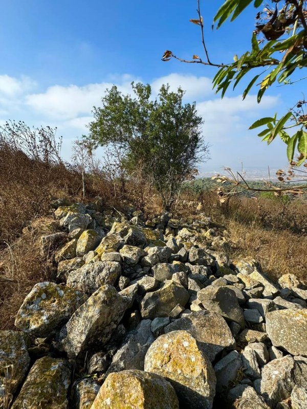 صور من قرية المزار المهجرة نقلا عن الأستاذ : سليمان بويرات