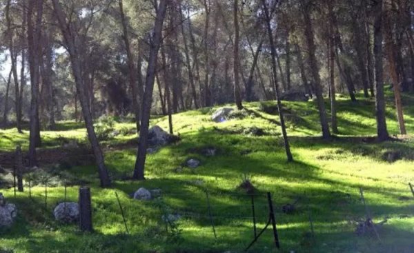  | موسوعة القرى الفلسطينية