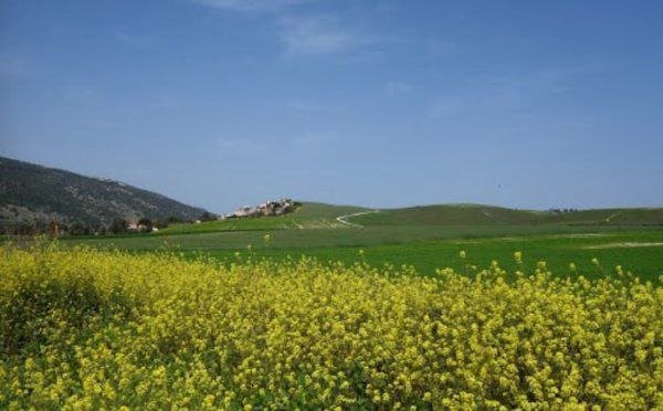  | موسوعة القرى الفلسطينية