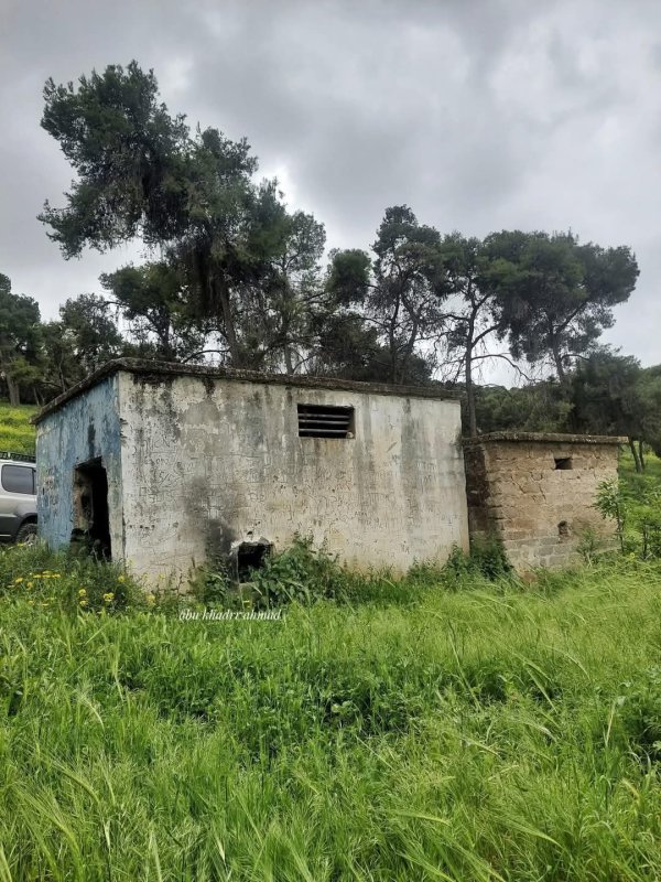 صور حديثة من قرية نورس المهجرة، بعدسة Abu Khader Ahmad Jbaren