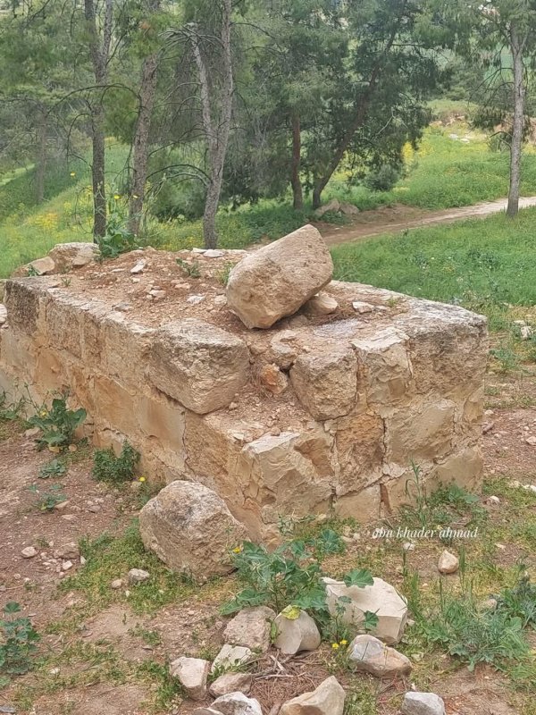 صور حديثة من قرية نورس المهجرة، بعدسة Abu Khader Ahmad Jbaren