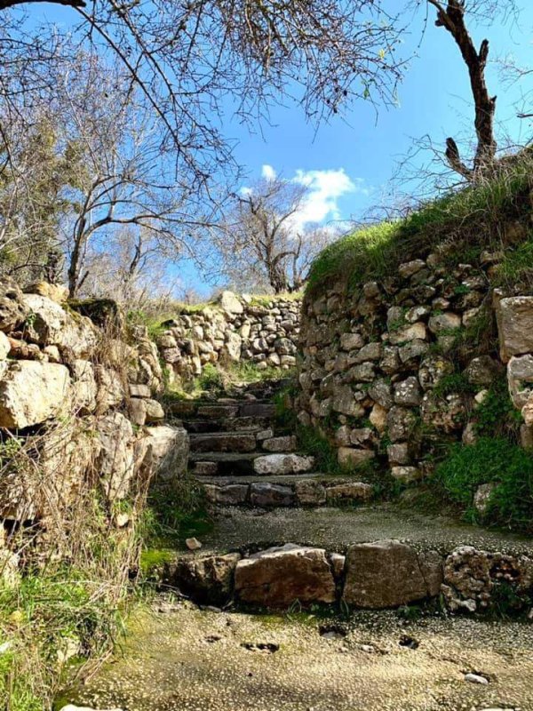  | موسوعة القرى الفلسطينية