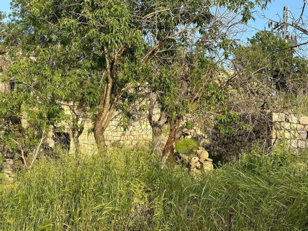  | موسوعة القرى الفلسطينية