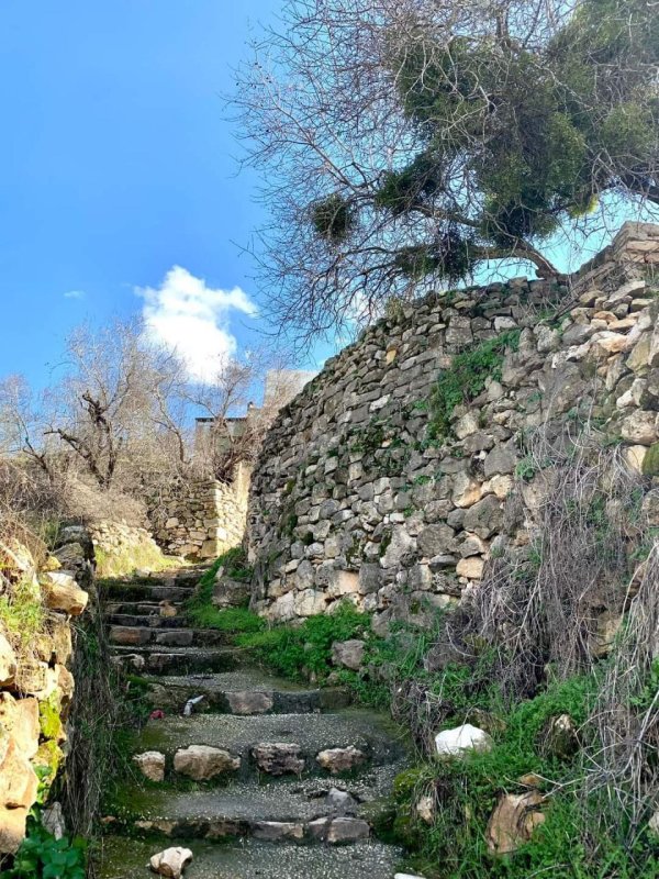  | موسوعة القرى الفلسطينية