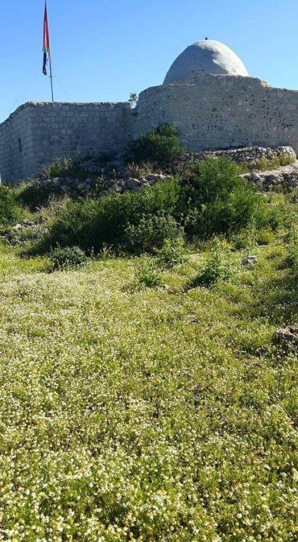  | موسوعة القرى الفلسطينية