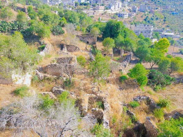  | موسوعة القرى الفلسطينية