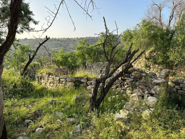  | موسوعة القرى الفلسطينية