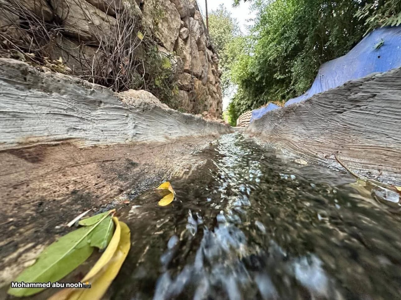  | موسوعة القرى الفلسطينية