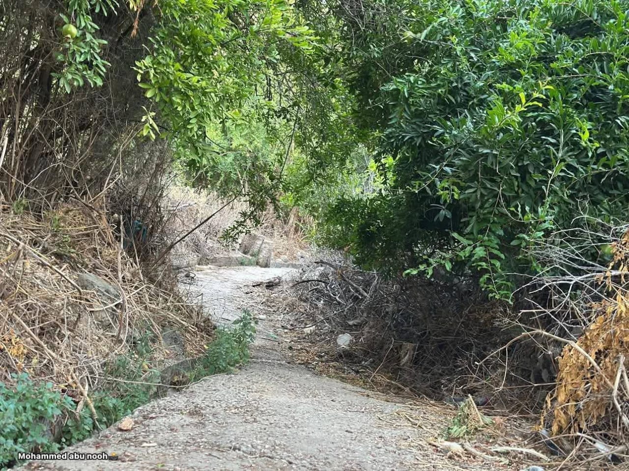  | موسوعة القرى الفلسطينية