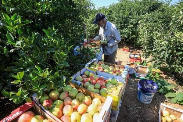  | موسوعة القرى الفلسطينية