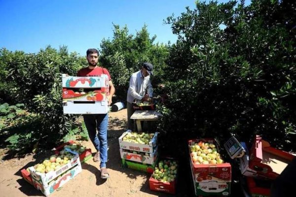  | موسوعة القرى الفلسطينية