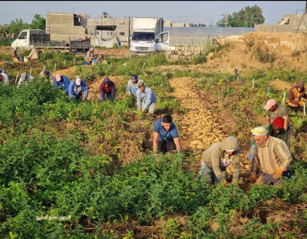  | موسوعة القرى الفلسطينية