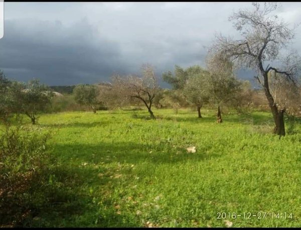  | موسوعة القرى الفلسطينية