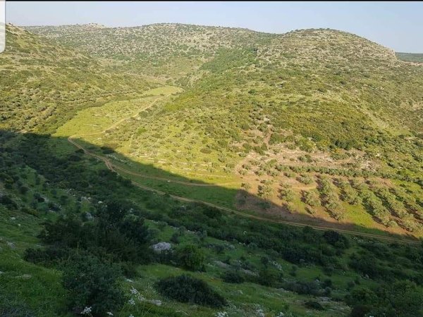  | موسوعة القرى الفلسطينية