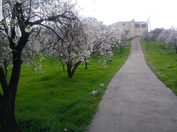  | موسوعة القرى الفلسطينية