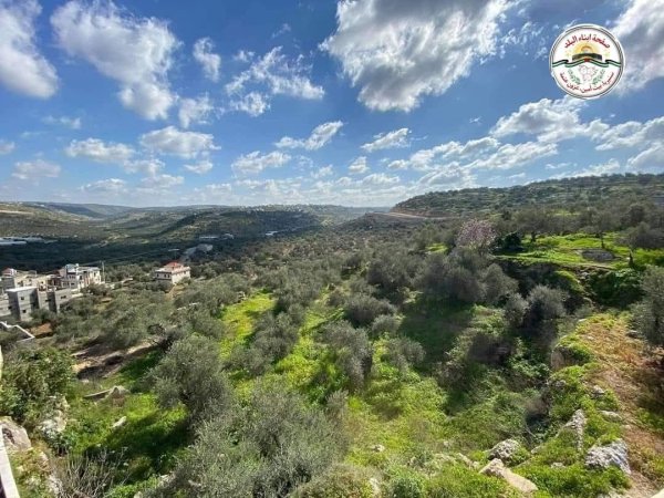 صوره مميزه من جمال الطبيعه في قرية بيت أمين قلقيليه  تصوير مجدي العلي