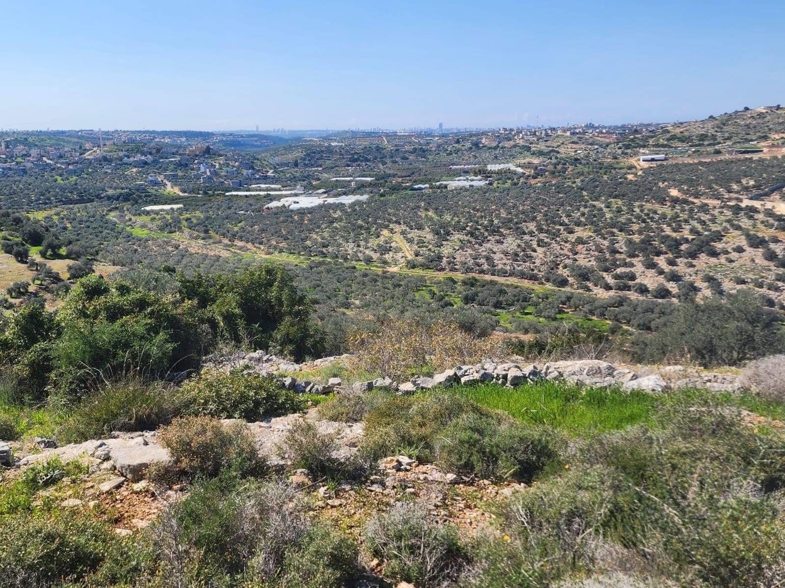 قرية بيت امين محافظة قلقيليه  من أرشيف : صهيب اعمر