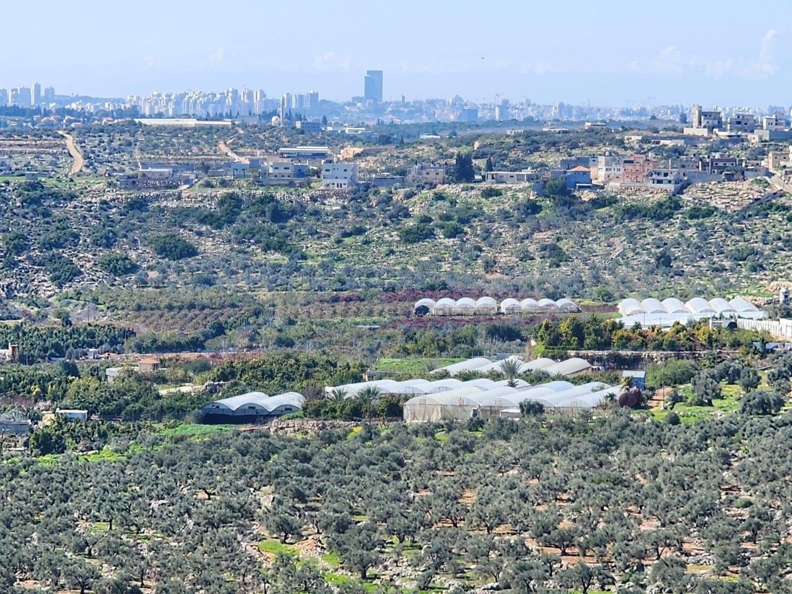 قرية بيت امين محافظة قلقيليه  من أرشيف : صهيب اعمر