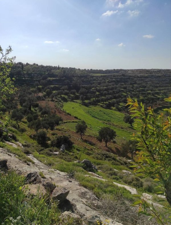  | موسوعة القرى الفلسطينية